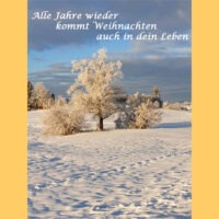 Adventskalender 2025